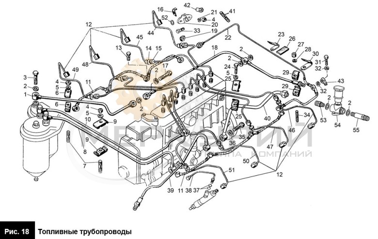 Топливные трубопроводы двигателя ТМЗ-8481.10
